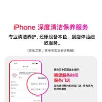 Apple iPhone清洁保养服务