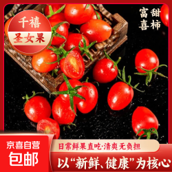 京喜 精品小西红柿千禧圣女果礼盒 1.5斤