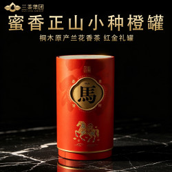 正山小種 红茶马上来财武夷山正山小种一级蜜香小种100g 2025 罐装