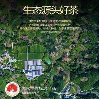 六妙 2026年春茶一级白毫银针 100g 礼盒装