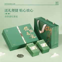 华源 信阳毛尖 特级 250g 礼盒装