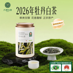 六妙 2026年一级牡丹白茶 50g 罐装