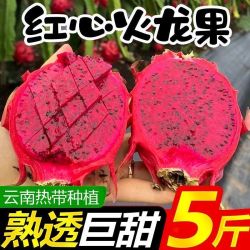 米阳甜源 云南红心火龙果 5斤 彩箱