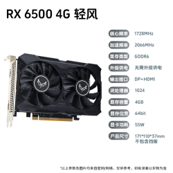ZEPHYRZEFU 西风 RX 6500 4G轻风版 显卡