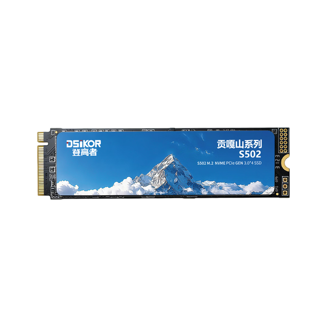 登高者 贡嘎山S502 NVMe协议 M.2接口 256GB SSD固态硬盘