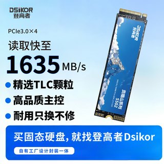 Dsikor/登高者 贡嘎山S502 PCIe3.0 128GB M.2固态硬盘