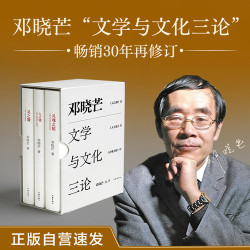 邓晓芒文学与文化三论（人之镜+灵之舞+灵魂之旅） 豆瓣高分作品 畅销30年再修订 易中天力荐