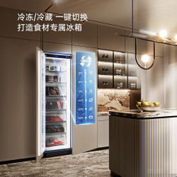 海信 BD-237WEPA+BC-301WEPA 冰箱组合 538L