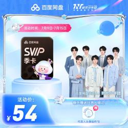 百度网盘 SVIP季卡+代言人头像挂件
