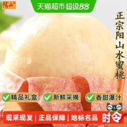 阳山 无锡阳山水蜜桃 4枚装(单果4-5两) 礼盒装