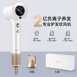 Gerllo 德国高速电吹风机家用风筒大风力功率负离子护发静音速干宿舍专用
