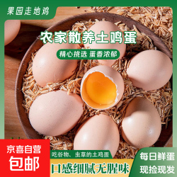 果园鲜鸡蛋 1200g 30枚