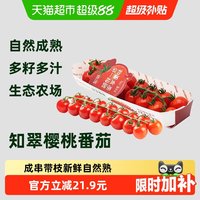 88VIP:知翠 中国大陆串枝番茄 792g 礼盒装