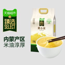 十月稻田 东北黄小米