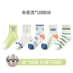 BANILACOO 儿童春夏薄款卡通袜子 5双装