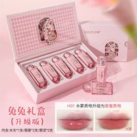 移动端：HOLD LIVE 复古花园唇釉礼盒哑光水光雾面兔兔口红套装女显白滋润