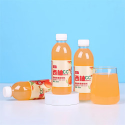 尚果力 果味饮料柠檬味夏季饮品酸甜果蔬汁 尚果力西柚CC 360mL*6瓶