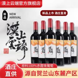 漠上云端 贺兰山东麓 赤霞珠 干红葡萄酒 750ml*6瓶 整箱装