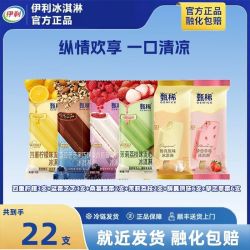 22支伊利甄稀冰淇淋雪糕组合