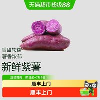 88VIP：鲁香德 河北紫心红薯 3斤/箱