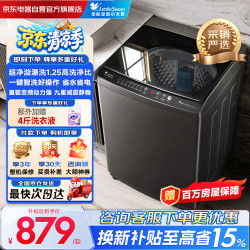 小天鹅 波轮洗衣机全自动家用大容量 10KG 直驱变频 高洗净比  TB100V26DT