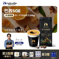 瑞幸咖啡 SOE单产区精品巴西咖啡豆 250g 中浅烘低酸现磨手冲黑咖啡