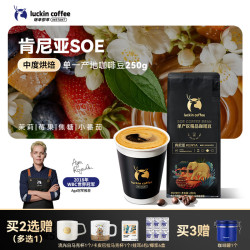 瑞幸咖啡 SOE单产区精品肯尼亚咖啡豆 250g 中烘