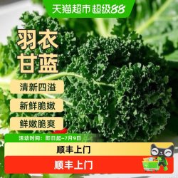 胡鲜森 山东羽衣甘蓝嫩叶 500g/1000g/1500g