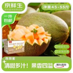 京鲜生 山东哈密瓜西州蜜25号 净重6-7斤2-3粒装 源头直发 净重3斤单果250g+
