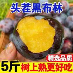 淘宝农场 无品牌 陕西省 黑布林李子 50-70g/个 5斤装