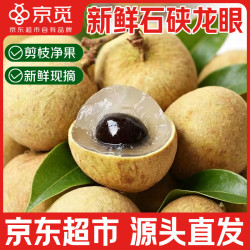京觅 广东石硤龙眼 5斤 新鲜水果
