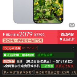 一加 13T 12+256