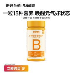 诺特兰德 Notrand 诺特兰德 维生素B族多种复合维生素咀嚼片 72粒/瓶