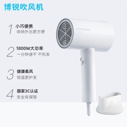 博锐 飞科博锐正品吹风机家用便携式电吹风学生宿舍专用护发耐用吹风筒