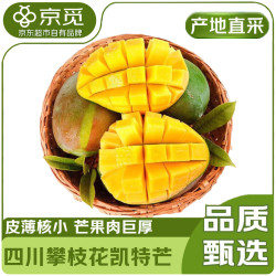 京觅 凯特芒 4.5斤（单果400g起）新鲜芒果
