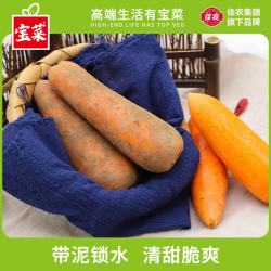 宝菜 国产沙地胡萝卜 5斤