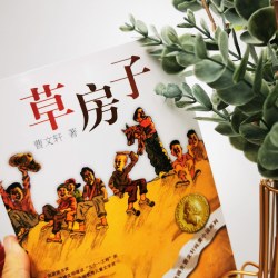 当当网正版童书 草房子正版曹文轩青铜葵花纯美小说系列四年级课外书