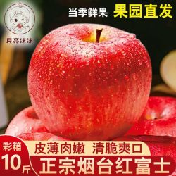 烟台苹果脆甜红富士 5斤