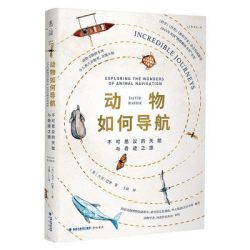 动物如何导航