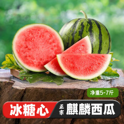 京觅 河南沙地美都少籽头茬甜西瓜 6-8斤 1粒装