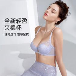 伊维斯 蕾丝大胸显瘦调整钢圈承托侧收防垂文胸
