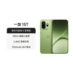 一加 15T 第五代骁龙8至尊版 5G手机 12+256G