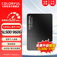 移动端：七彩虹 SL500 SATA 固态硬盘（SATA3.0）