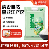 十月稻田 长粒香大米 10kg 黑龙江产区