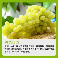 京鲜生 新疆无核白葡萄 3.5斤