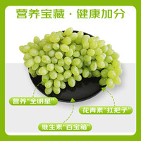 京鲜生 新疆无核白葡萄 3.5斤