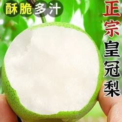 远达皇冠梨4.5斤