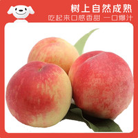 京鲜生 山西水蜜桃 净重3斤