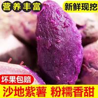 鲁禧海岸 紫薯 新鲜蔬菜当季现挖 减脂粗粮 山东特产紫罗兰紫薯 沙地粉紫薯 严选中果净重4.5斤-单果3-8两