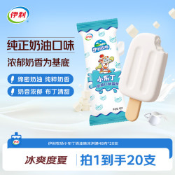 伊利 国产小布丁奶油味雪糕 48g/支*20支